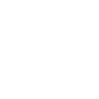 Logo 8